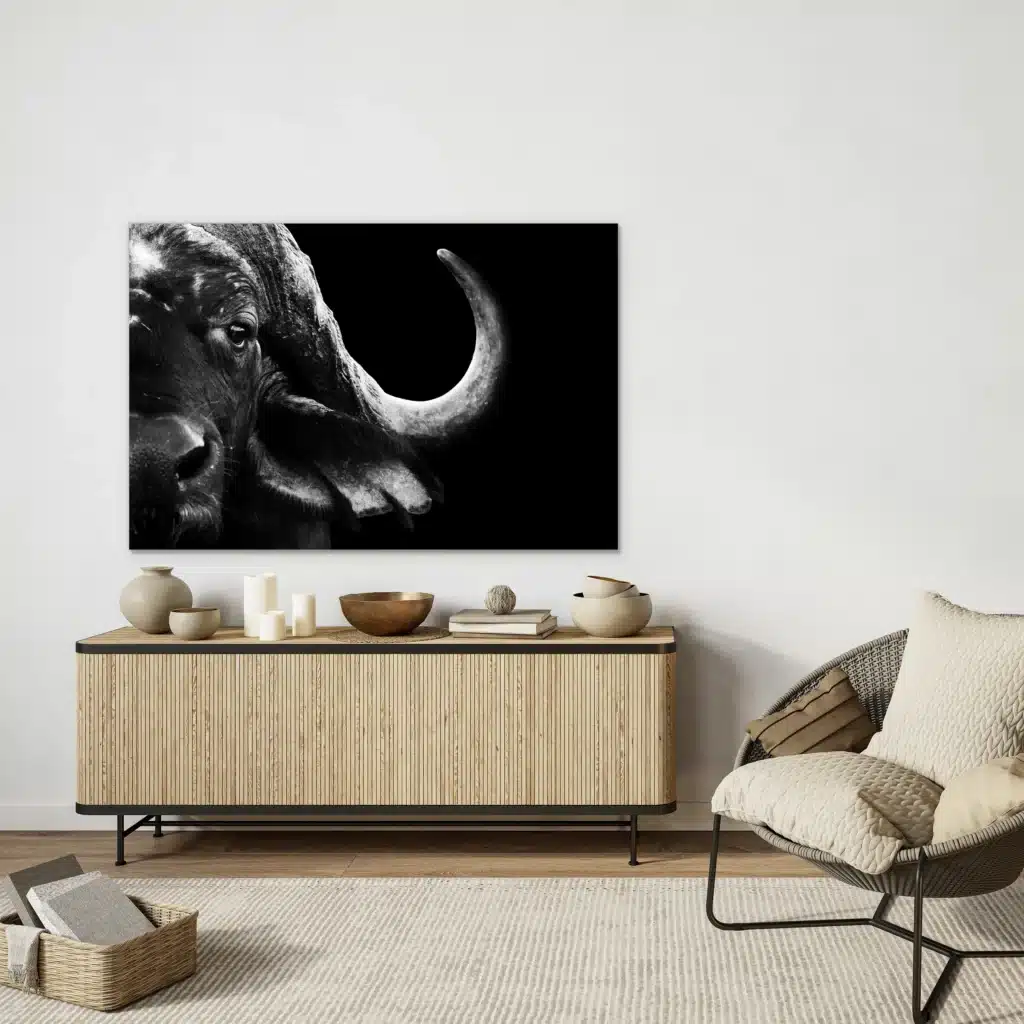 Buffel close-up in zwart-wit boven een houten lamellen dressoir naast een rotan stoel