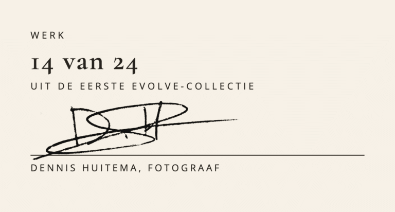 Certificaat van echtheid bij Hooglander in het gouden avondlicht: werk 14 van 24 uit WallCatcher Evolve, met de handtekening van Dennis Huitema