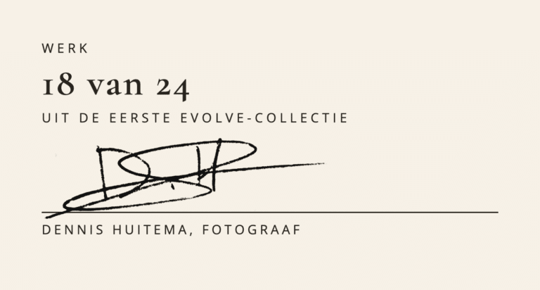 Certificaat van echtheid bij Laatste licht op Hamnøy: werk 18 van 24 uit WallCatcher Evolve, met de handtekening van Dennis Huitema