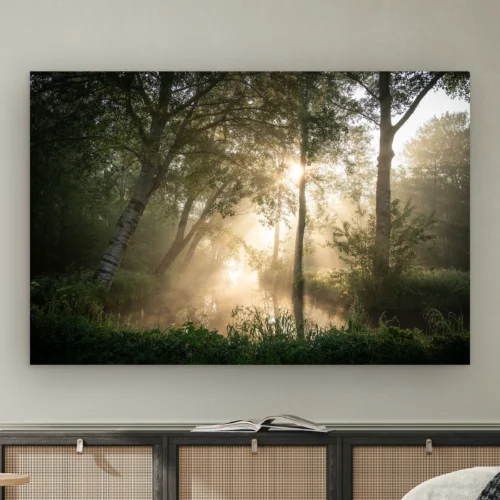 Bomen wanddecoratie: zonnestralen door de ochtendmist tussen berken boven een beekje, als artframe aan de muur