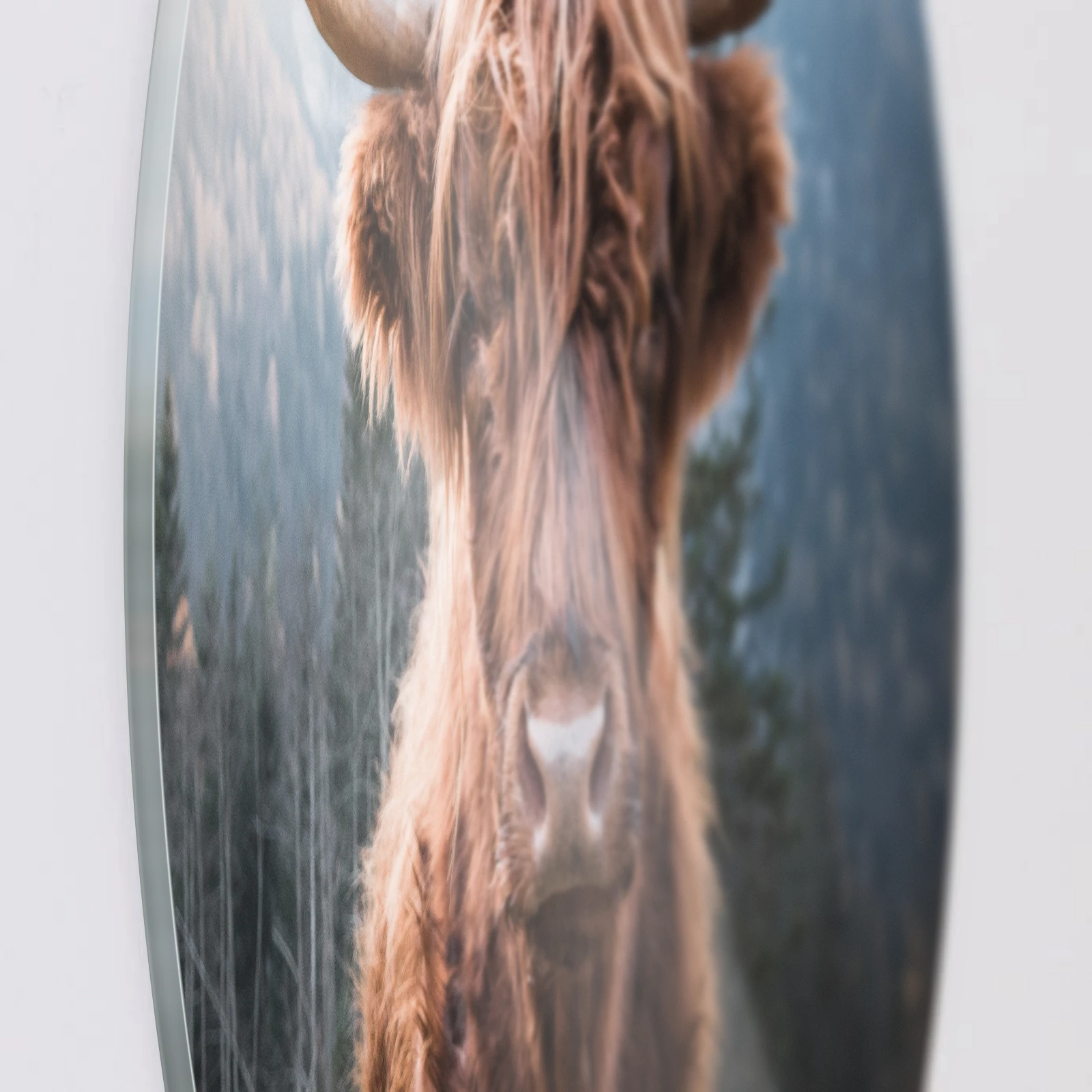Muurcirkel Hooglander, Plexiglas van dichtbij