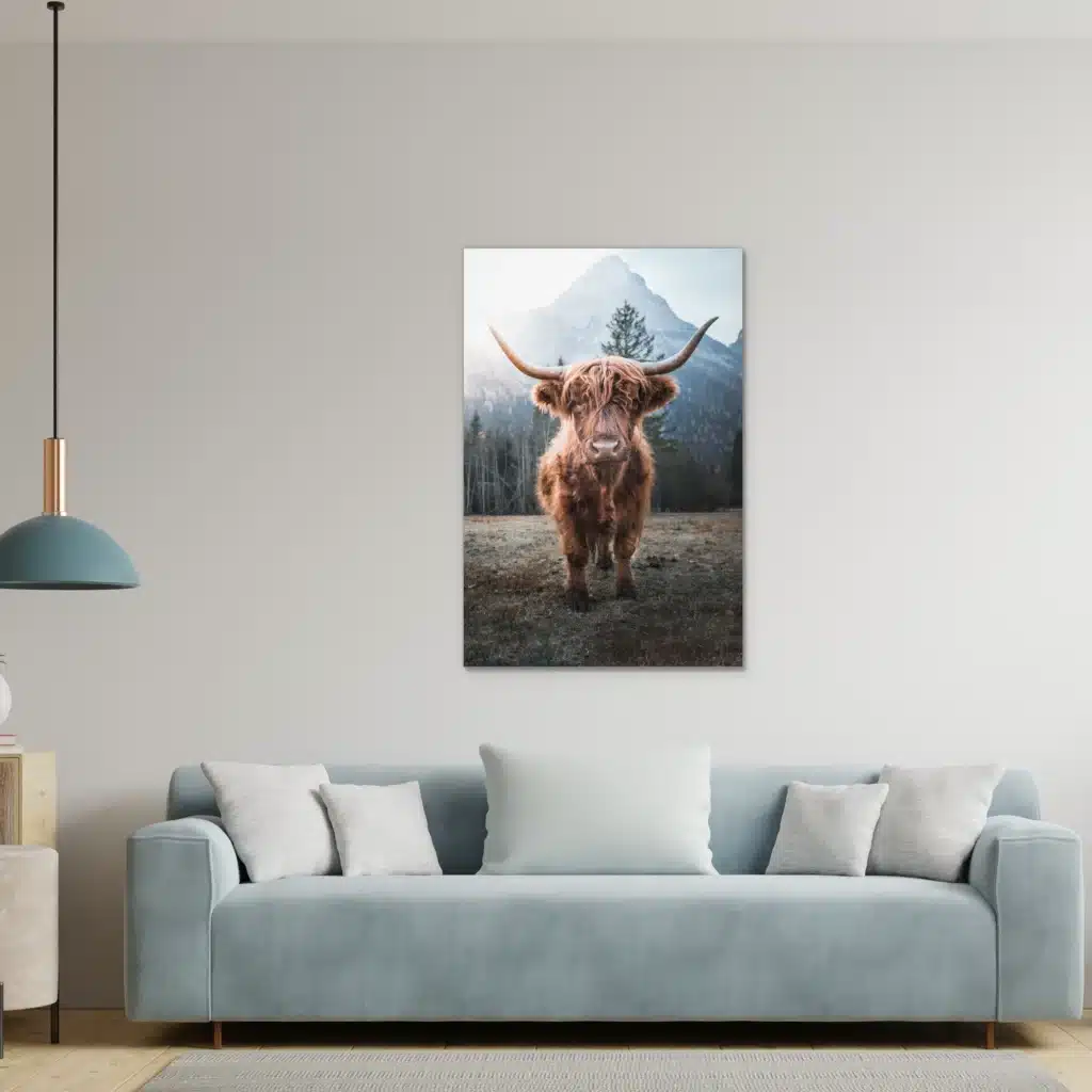 Hooglander aan een lichtgrijze muur boven een lichtblauwe bank met een hanglamp