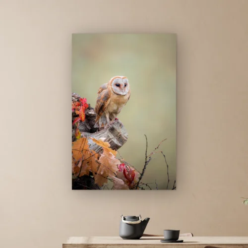 Kerkuil wanddecoratie: kerkuil op een verweerde boomstronk tussen oranje en rode herfstbladeren, als staand artframe