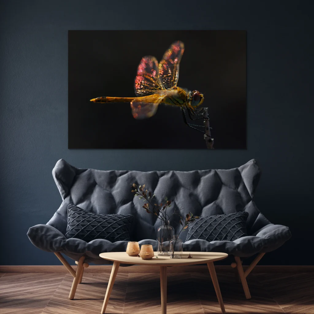 Libelle wanddecoratie boven een grijze bank tegen een donkerblauwe muur