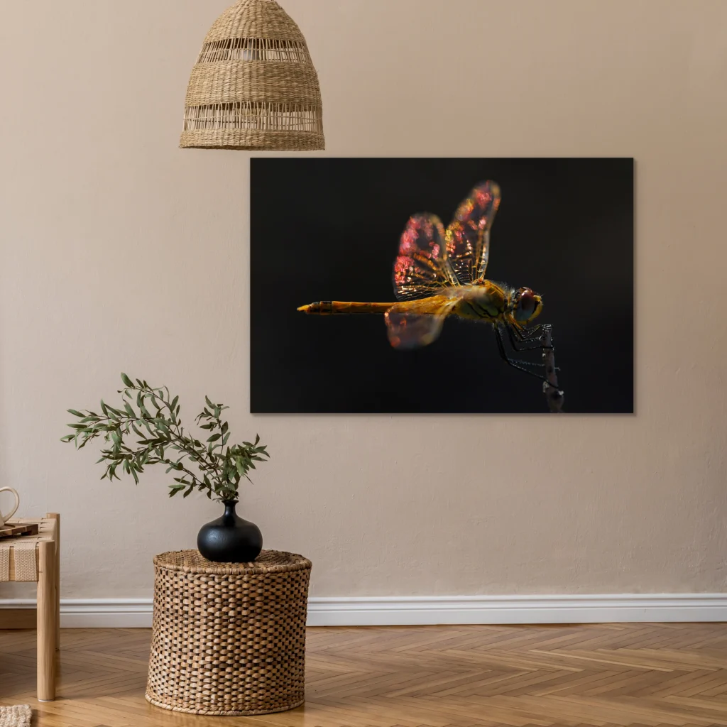 Libelle wanddecoratie aan een zandkleurige muur onder een rieten hanglamp