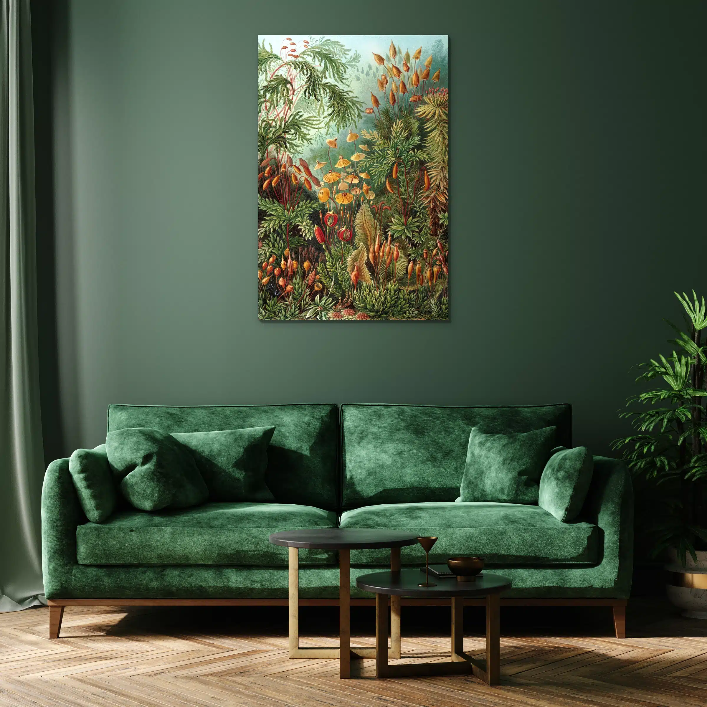 Muscinae van Ernst Haeckel boven een groene fluwelen bank tegen een donkergroene muur