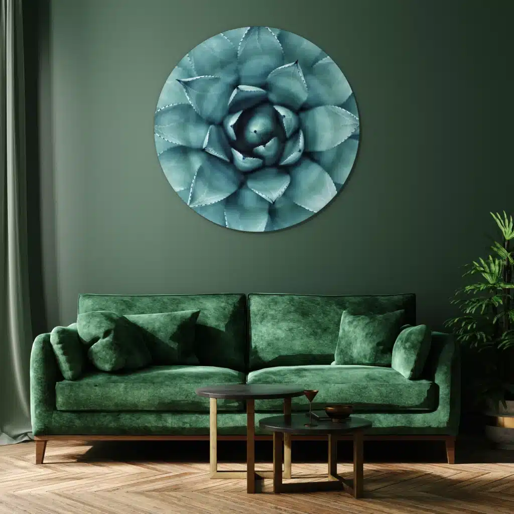 Muurcirkel agave plant boven een groene fluwelen bank tegen een donkergroene muur
