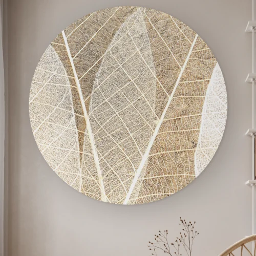 Muurcirkel Blad textuur aan de muur in een lichte kamer met droogbloemen