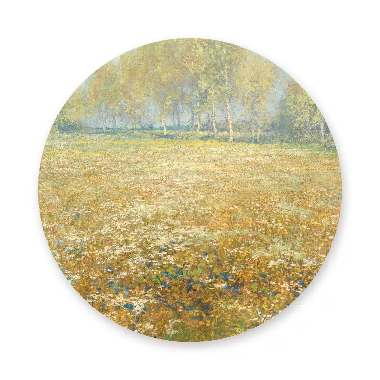 Bloemenweide schilderij als muurcirkel los op een witte achtergrond
