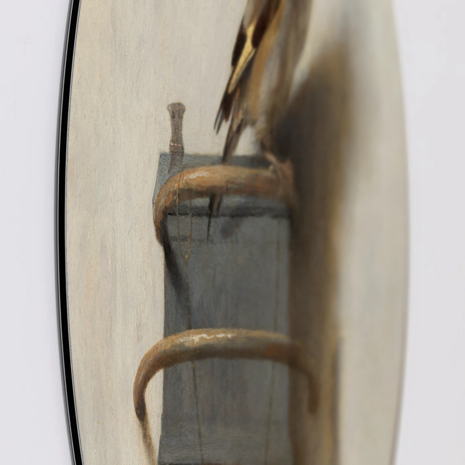 Muurcirkel Het Puttertje van Carel Fabritius, Aluminium Dibond van dichtbij