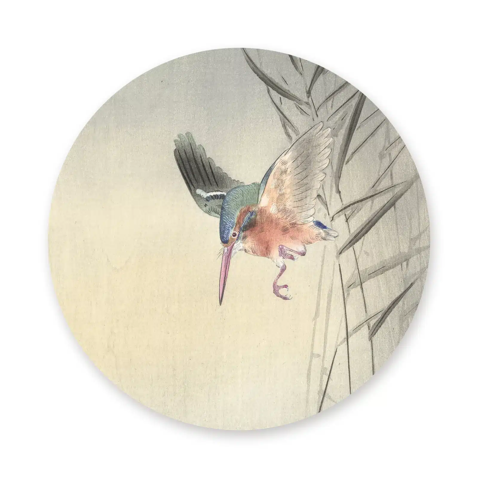 Ijsvogel schilderij rond als muurcirkel los op een witte achtergrond