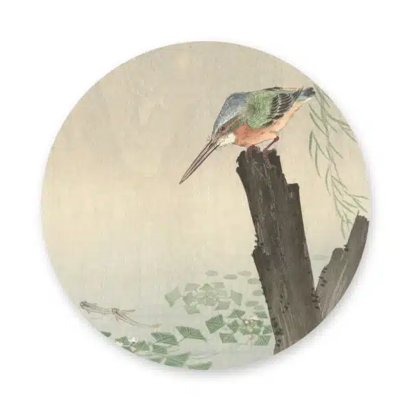 Ohara koson ijsvogel als muurcirkel los op een witte achtergrond