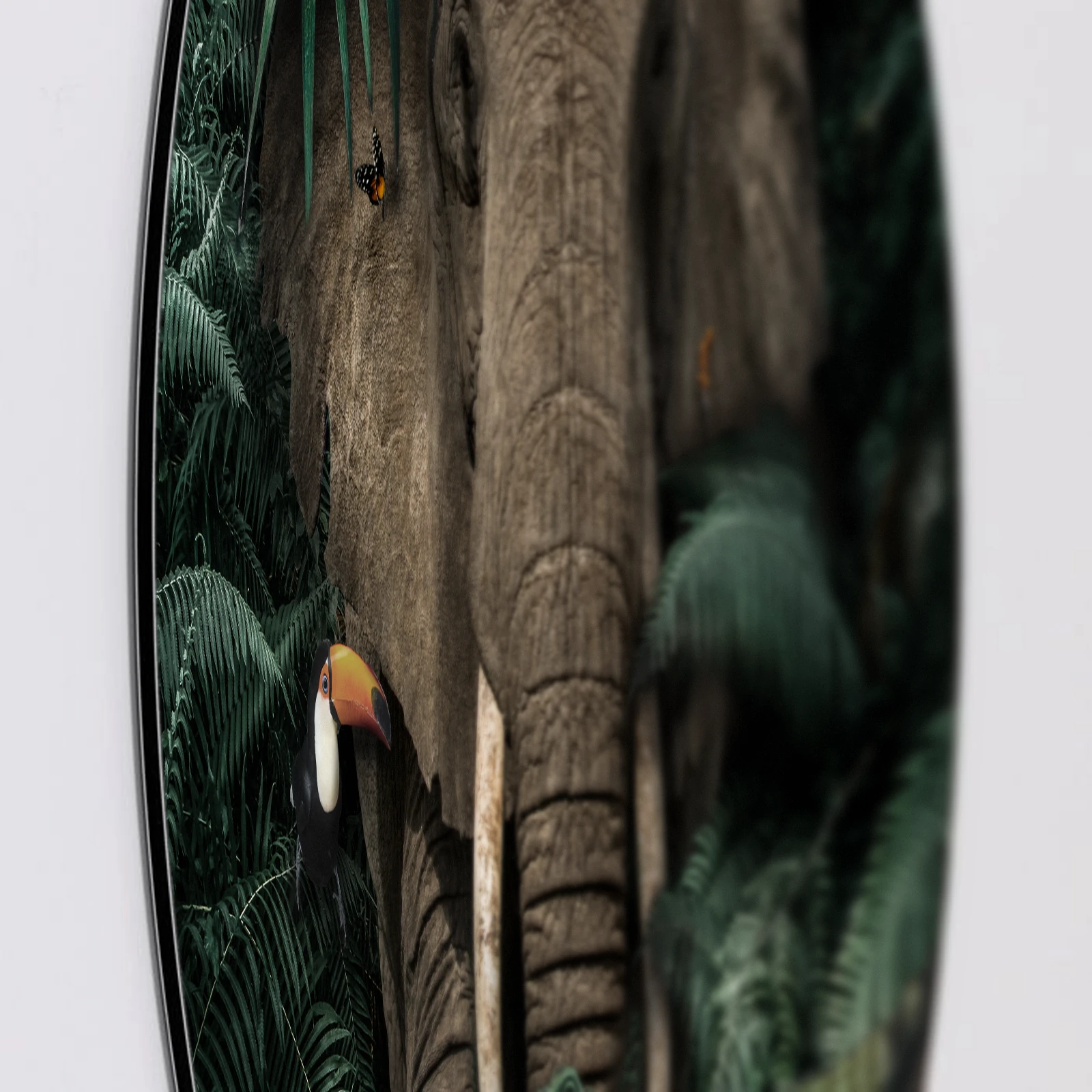 Muurcirkel Jungle olifant, Aluminium Dibond van dichtbij