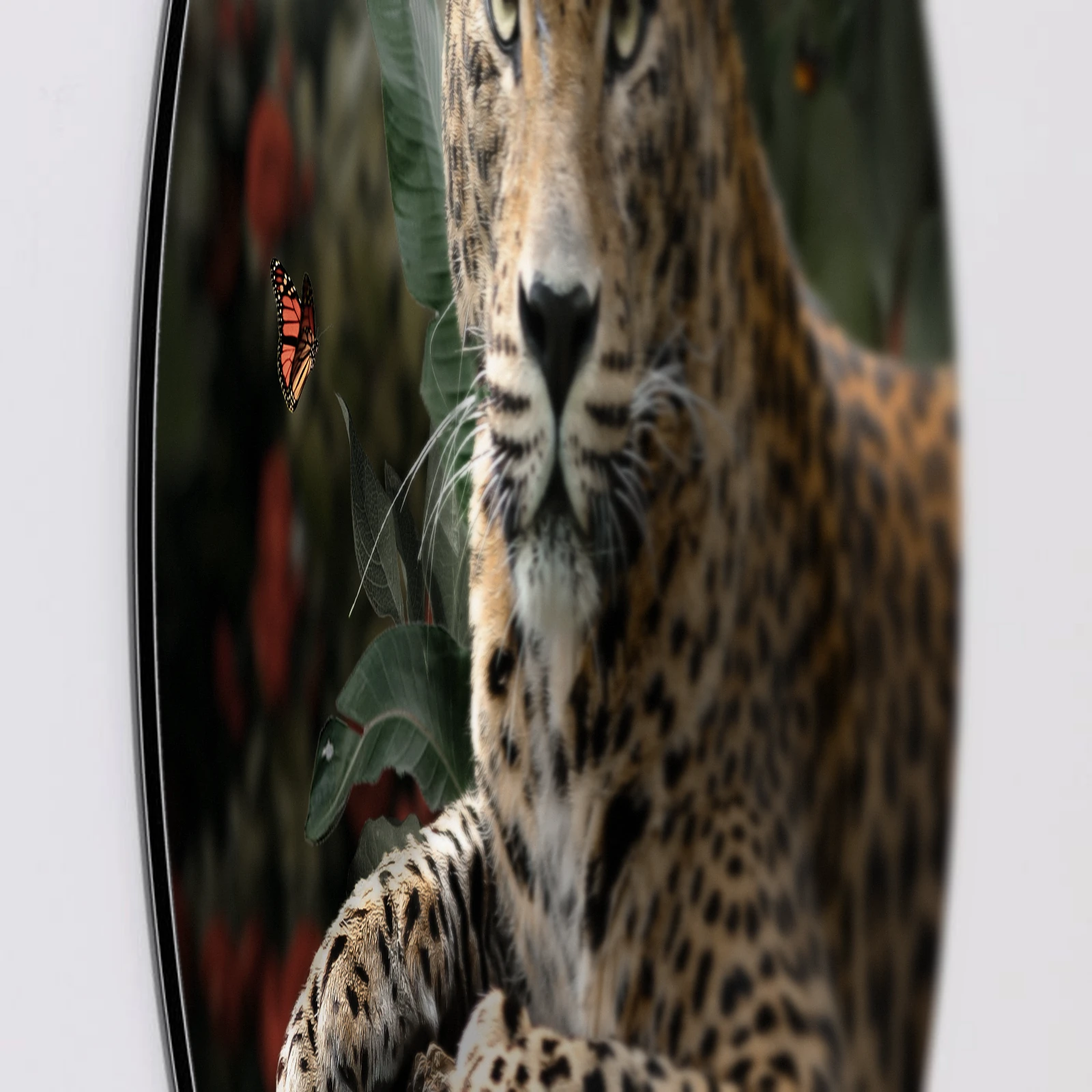 Muurcirkel Jungle luipaard, Aluminium Dibond van dichtbij