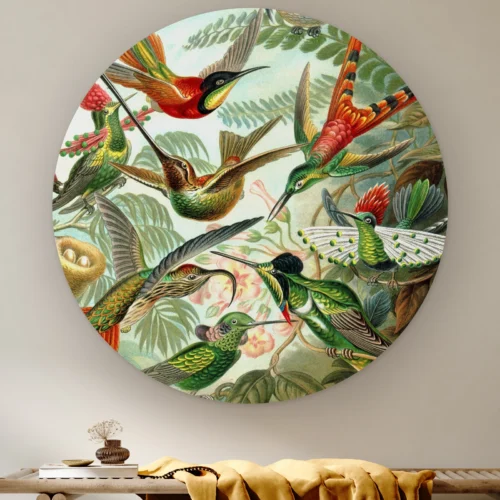 Muurcirkel Kolibries van Ernst Haeckel aan de muur boven een houten bank met een okergele plaid
