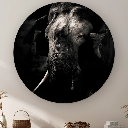 Muurcirkel Olifant aan de muur boven een kast met een rieten mandje