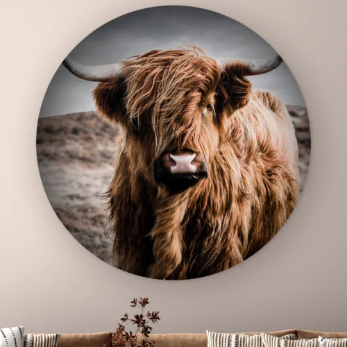 Muurcirkel Schotse hooglander kleur aan de muur boven een bank met gestreepte kussens