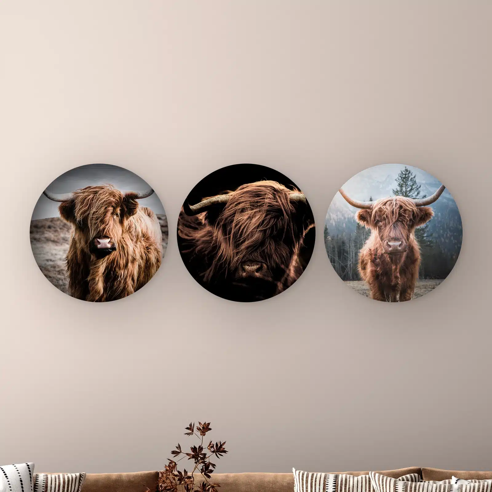 Schotse hooglander set: drie hooglanders in kleur, als donker portret en in de bergen