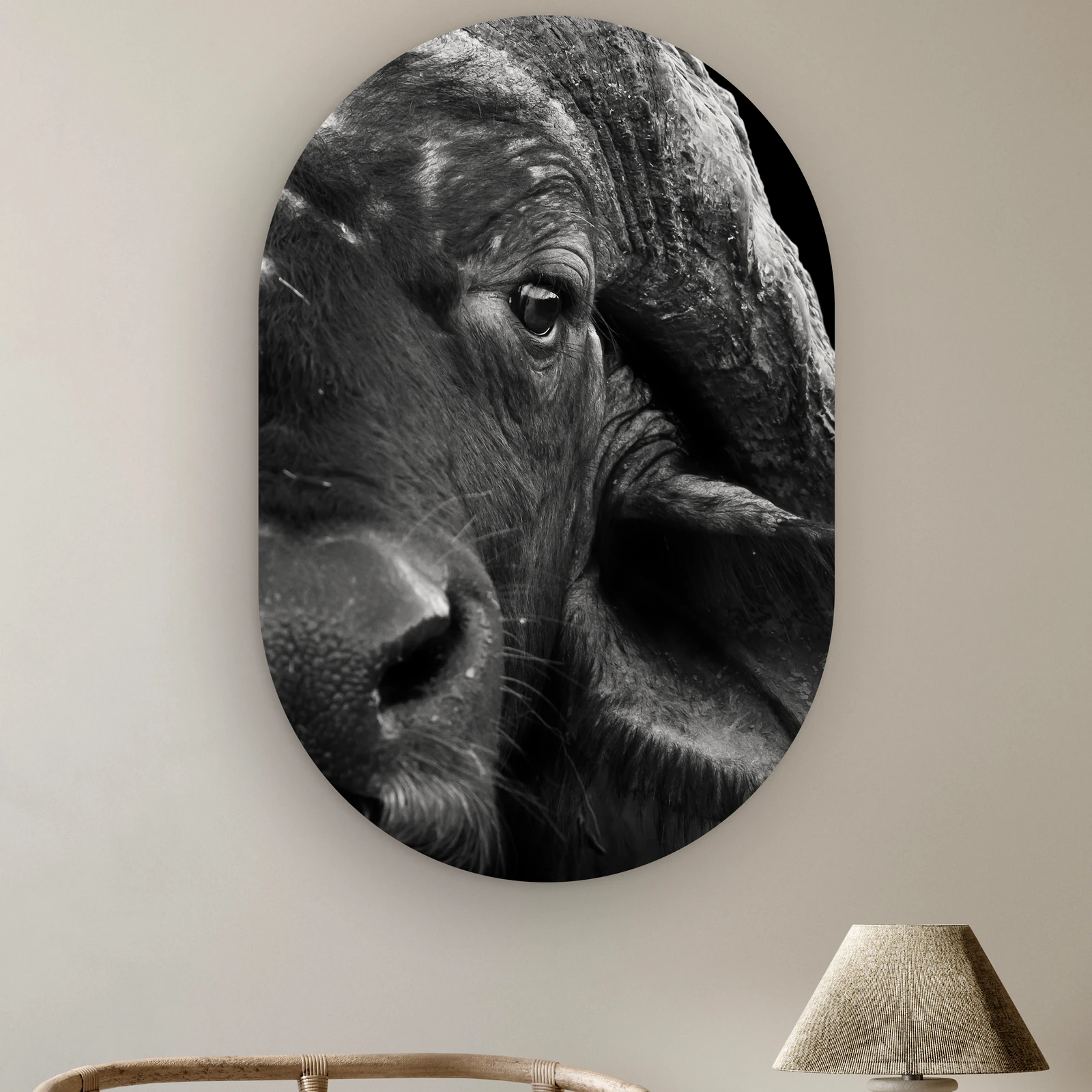 Muurovaal Buffel close-up aan de muur boven een rotan stoel en een tafellamp