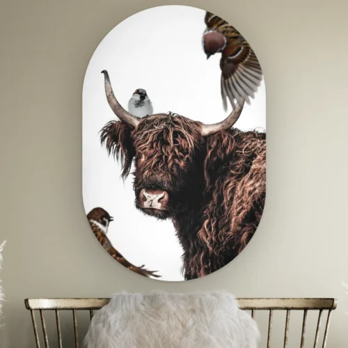 Muurovaal Hooglander artistiek aan de muur boven een houten bankje met schapenvacht