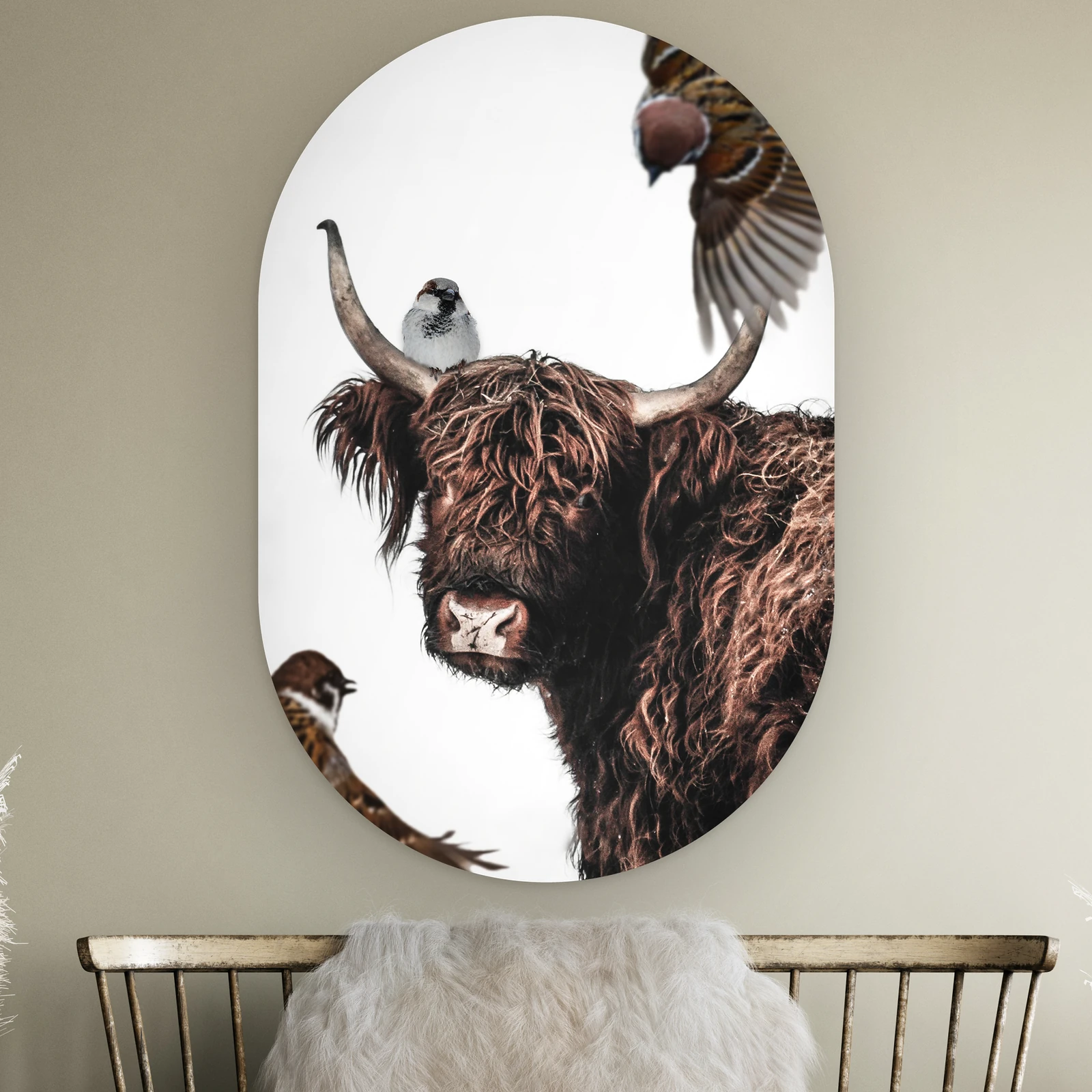 Muurovaal Hooglander artistiek aan de muur boven een houten bankje met schapenvacht