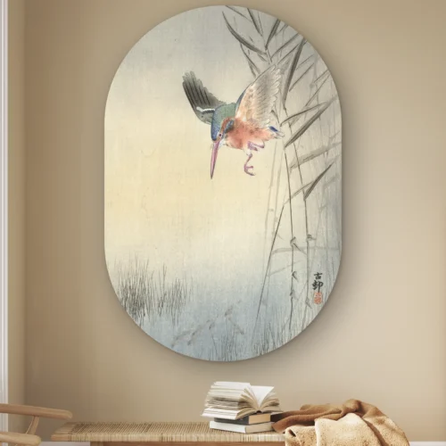 Muurovaal IJsvogel jagend op vis van Koson