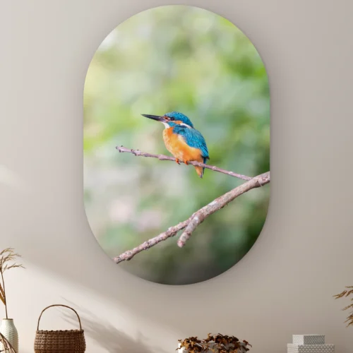 Muurovaal IJsvogel licht aan de muur boven een kast met een rieten mandje