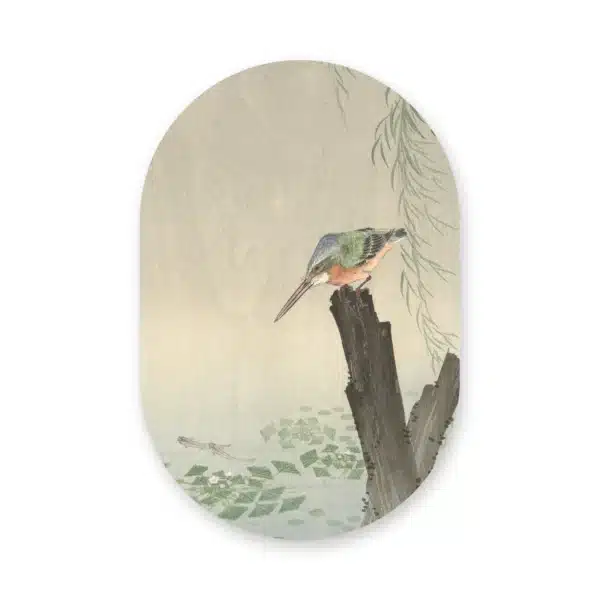 Ijsvogel schilderij als muurovaal los op een witte achtergrond