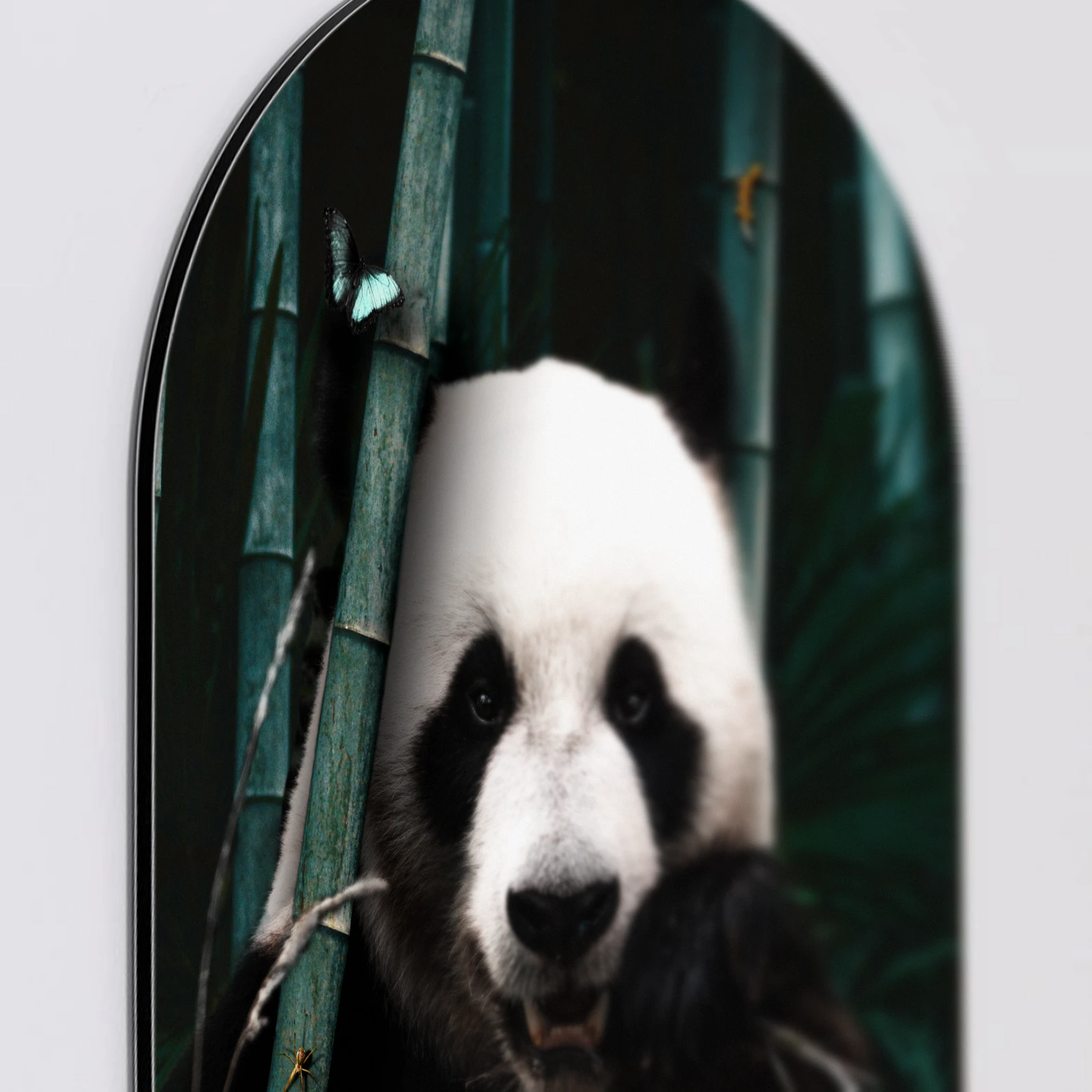 Muurovaal Jungle panda, Aluminium Dibond van dichtbij