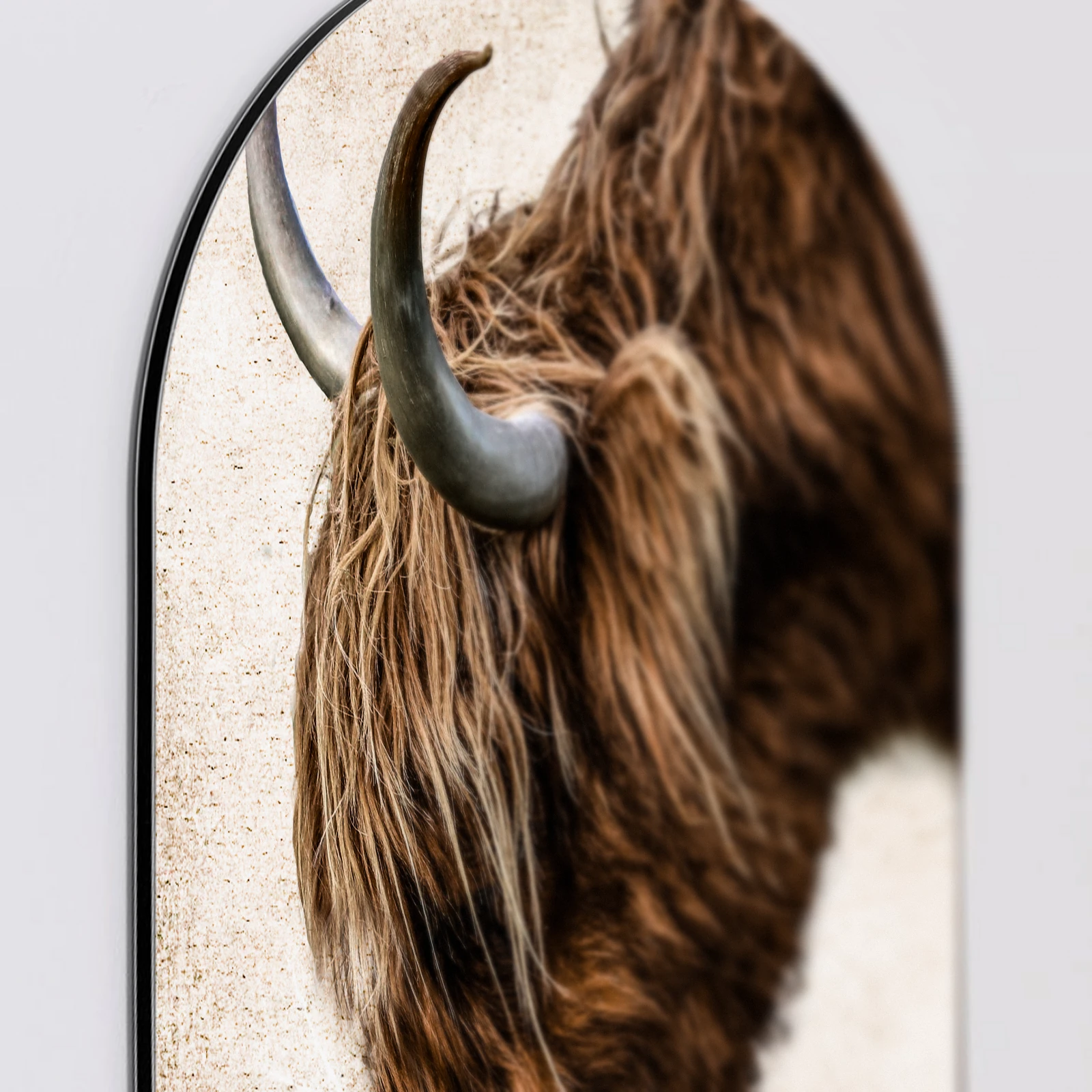 Muurovaal Vintage hooglander, Aluminium Dibond van dichtbij