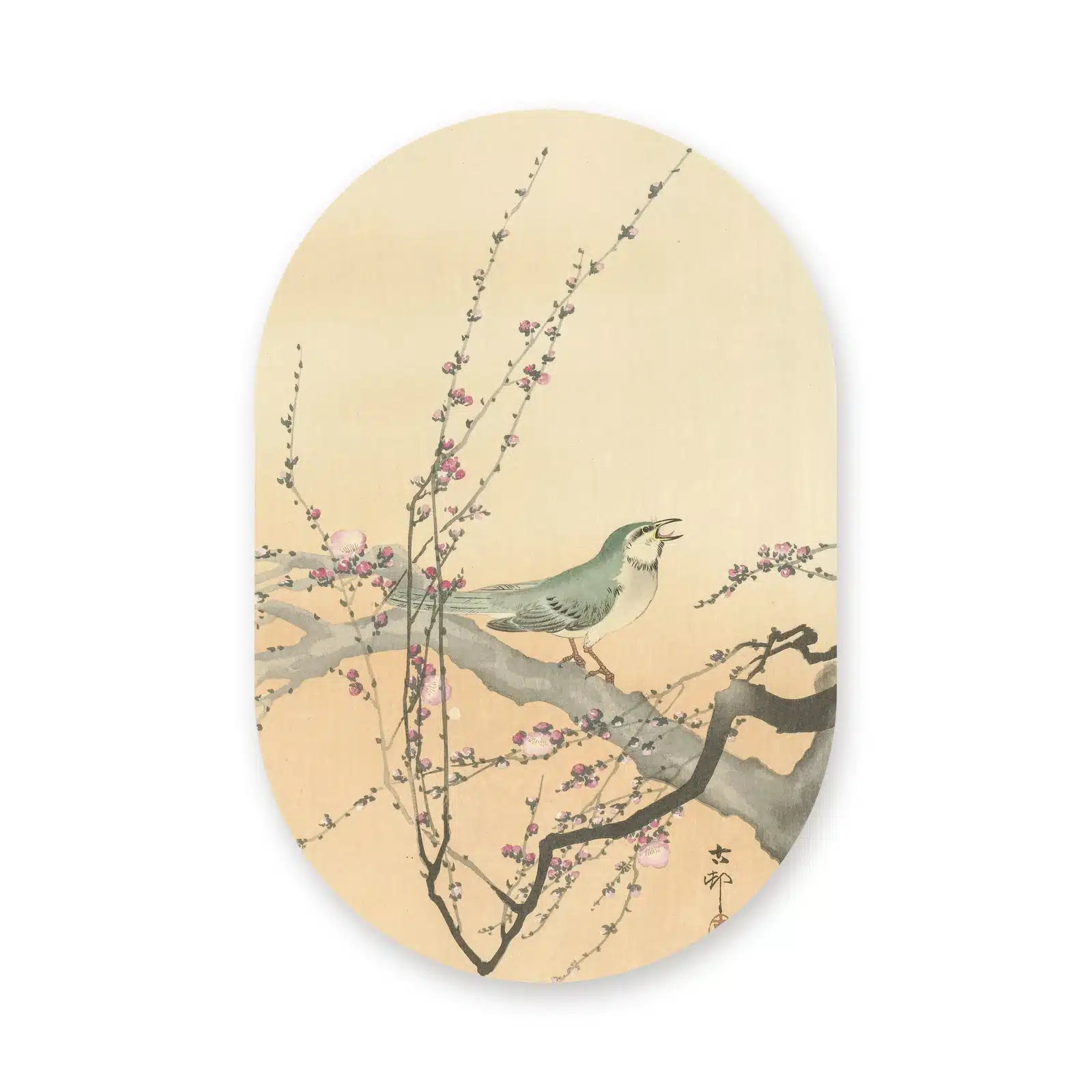 Japanse vogel schilderij als muurovaal los op een witte achtergrond
