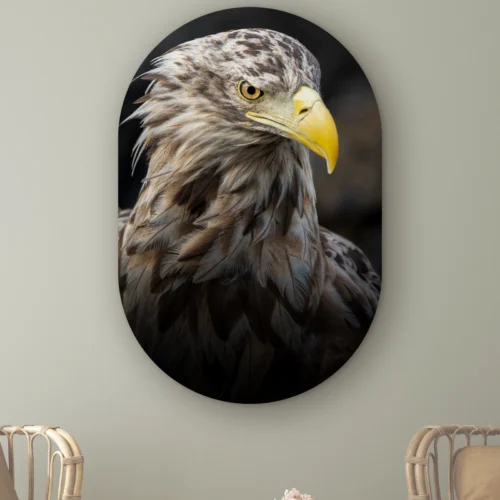 Muurovaal Zeearend portret schuin aan de muur boven twee rotan stoelen