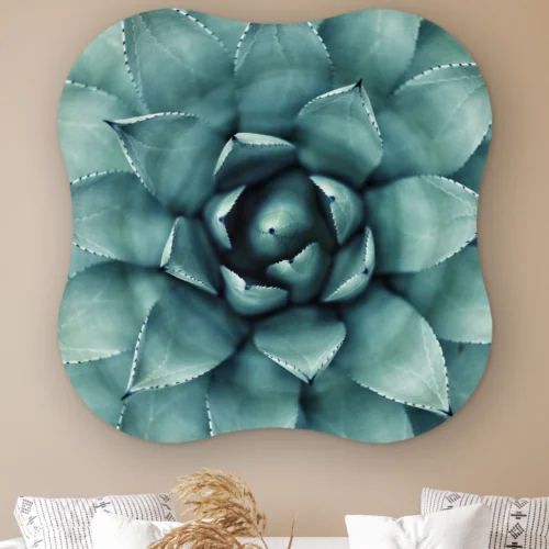 Organische vorm Agave plant aan de muur boven een witte bank met kussens
