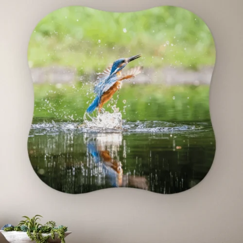 Organische vorm Duikende ijsvogel aan de muur boven een houten dressoir met planten
