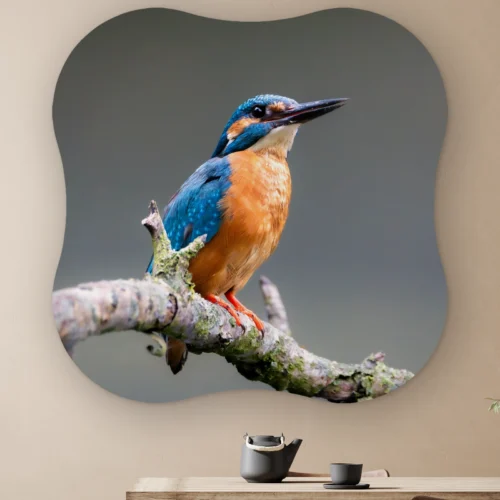 Organische vorm IJsvogel donker aan de muur boven een houten tafel met theepot