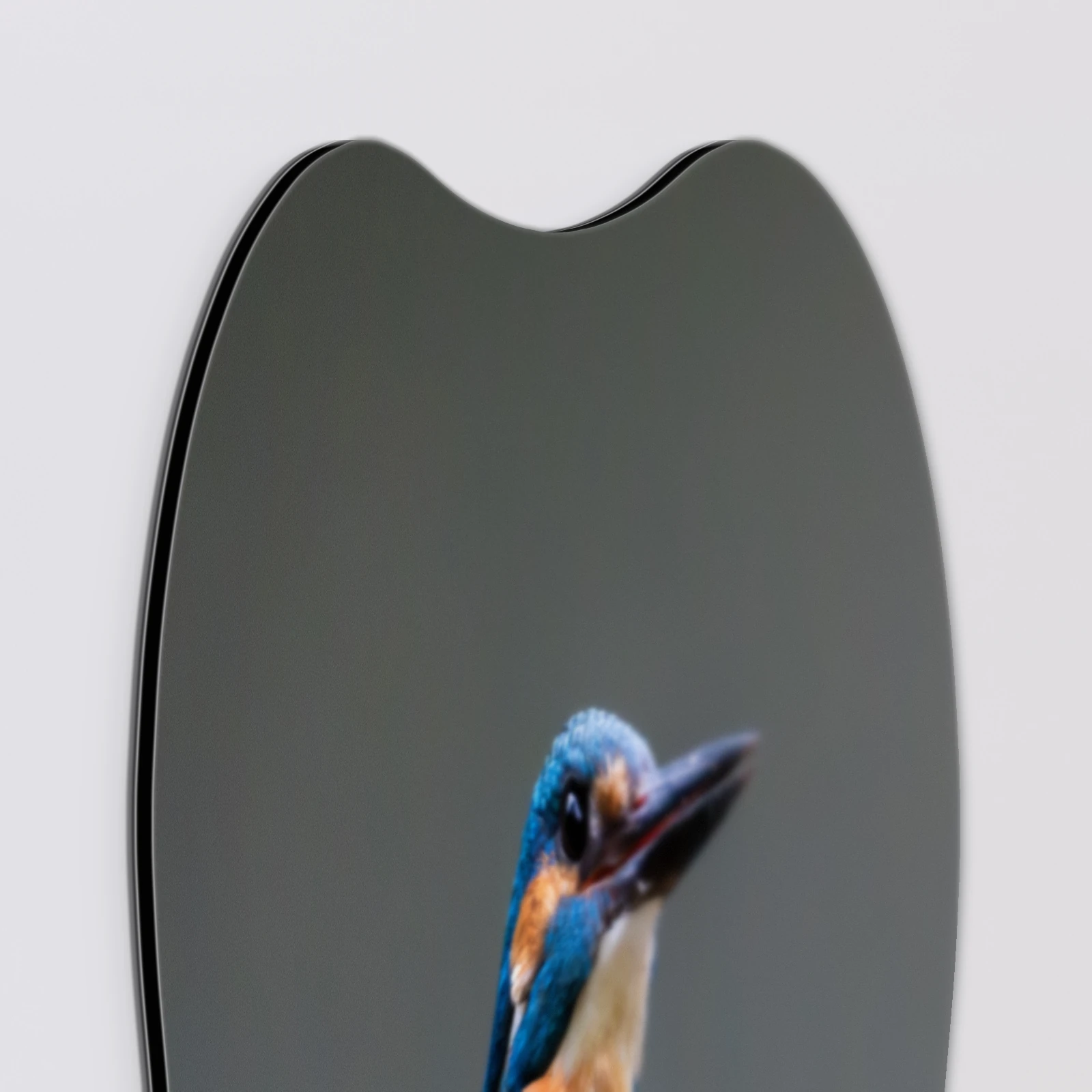 Organische vorm IJsvogel donker, Aluminium Dibond van dichtbij