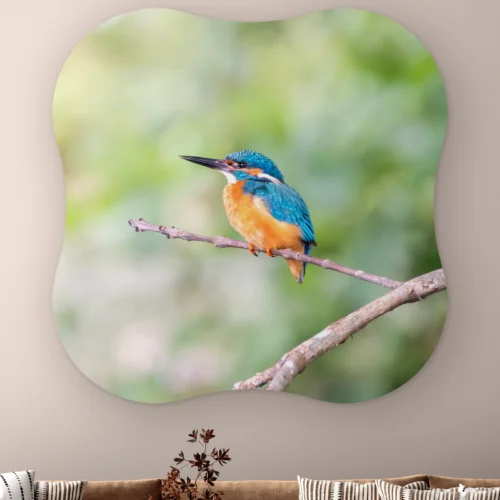 Organische vorm IJsvogel licht aan de muur boven een bank met gestreepte kussens