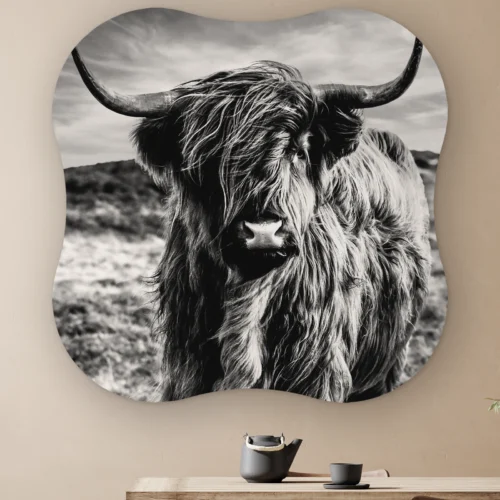 Organische vorm Schotse hooglander zwart wit aan de muur boven een houten tafel met theepot
