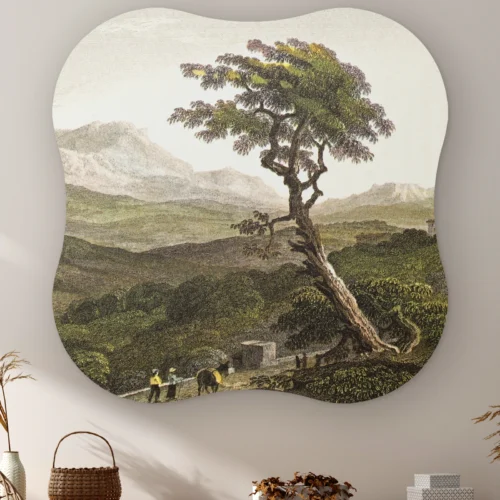 Organische vorm Siciliaans landschap met boom aan de muur boven een kast met een rieten mandje
