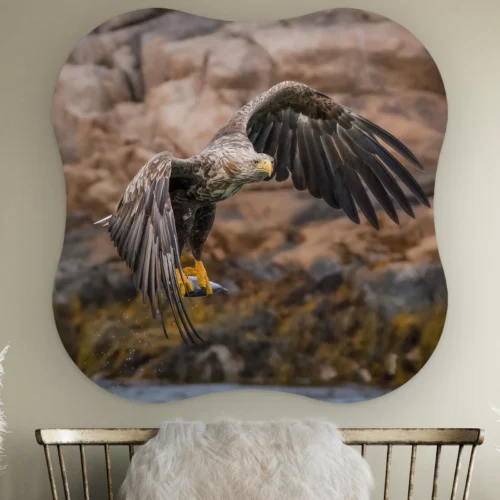 Organische vorm Zeearend met vangst aan de muur boven een houten bankje met schapenvacht
