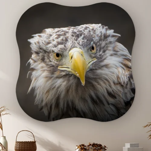 Organische vorm Zeearend portret aan de muur boven een kast met een rieten mandje