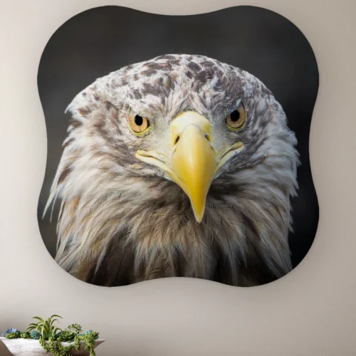 Organische vorm Zeearend portret recht aan de muur boven een houten dressoir met planten