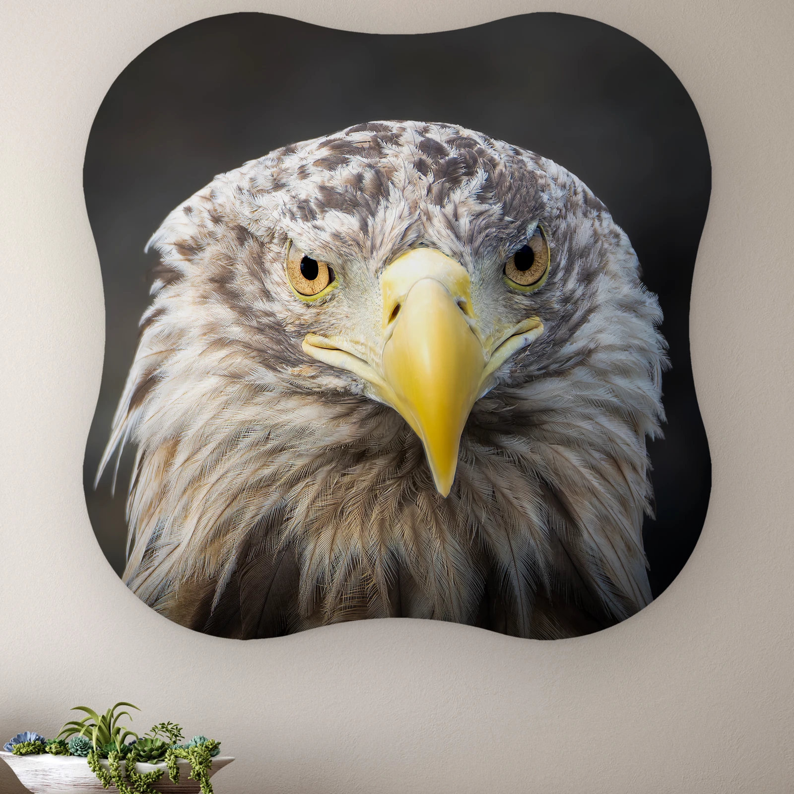 Organische vorm Zeearend portret recht aan de muur boven een houten dressoir met planten