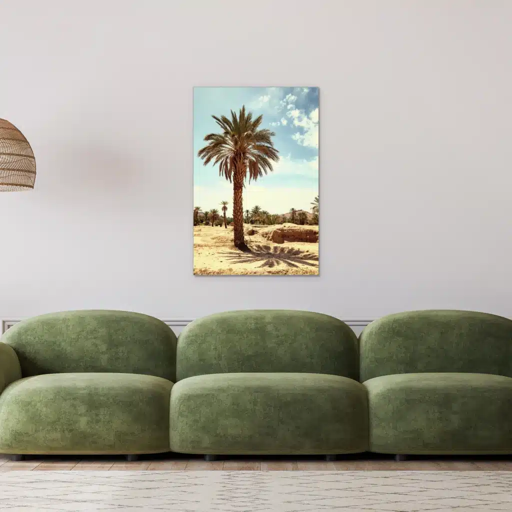 Palmboom aan een lichte muur boven een groene bank