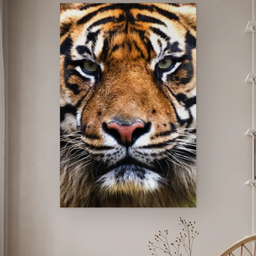 Tijger portret aan de muur in een lichte kamer met droogbloemen