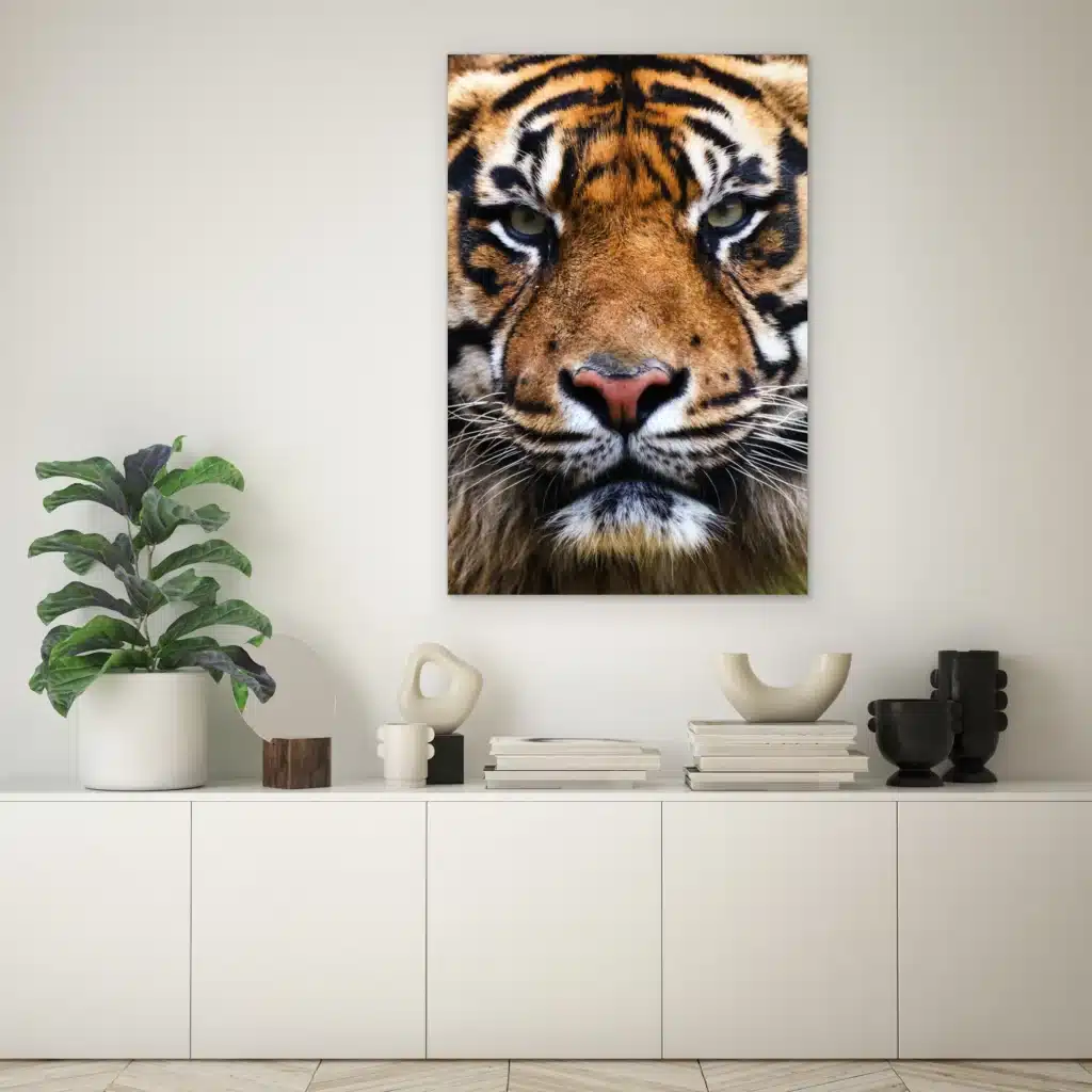 Tijger portret boven een lage witte kast met een kamerplant en zwarte vazen