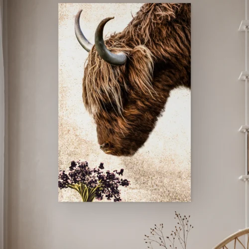 Vintage hooglander aan de muur in een lichte kamer met droogbloemen