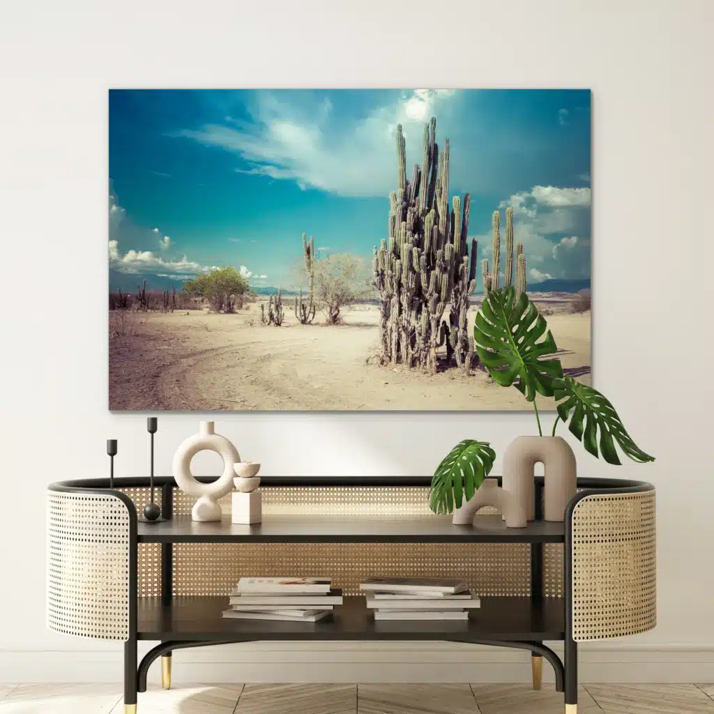 Woestijncactus familie boven een rotan console met een monstera