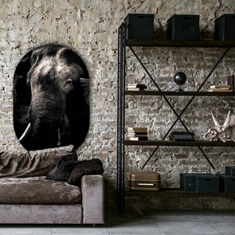 muurovaal elephant
